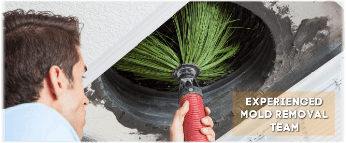 Air Duct Mold Removal in Marietta GA
